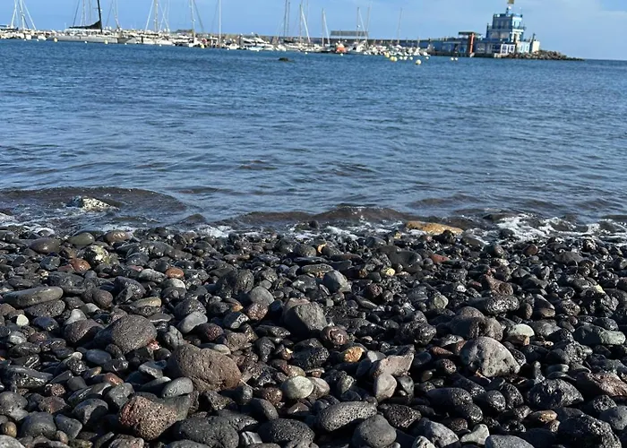 Apartamento Everything Need Right Here *